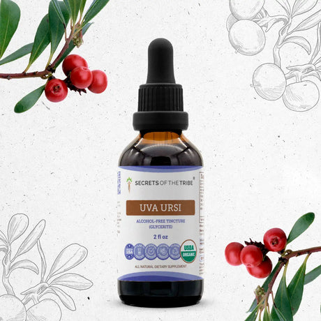 Secrets of the Tribe Uva Ursi Tincture