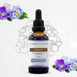 Secrets of the Tribe Violet Tincture