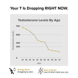 Nature's Lab Gold Vital Testosterone - 90 Capsules