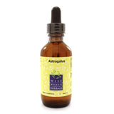 Astragalus membranaceus 2oz