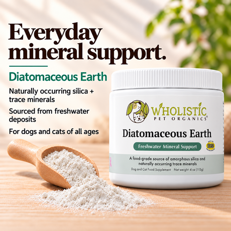 Diatomaceous Earth