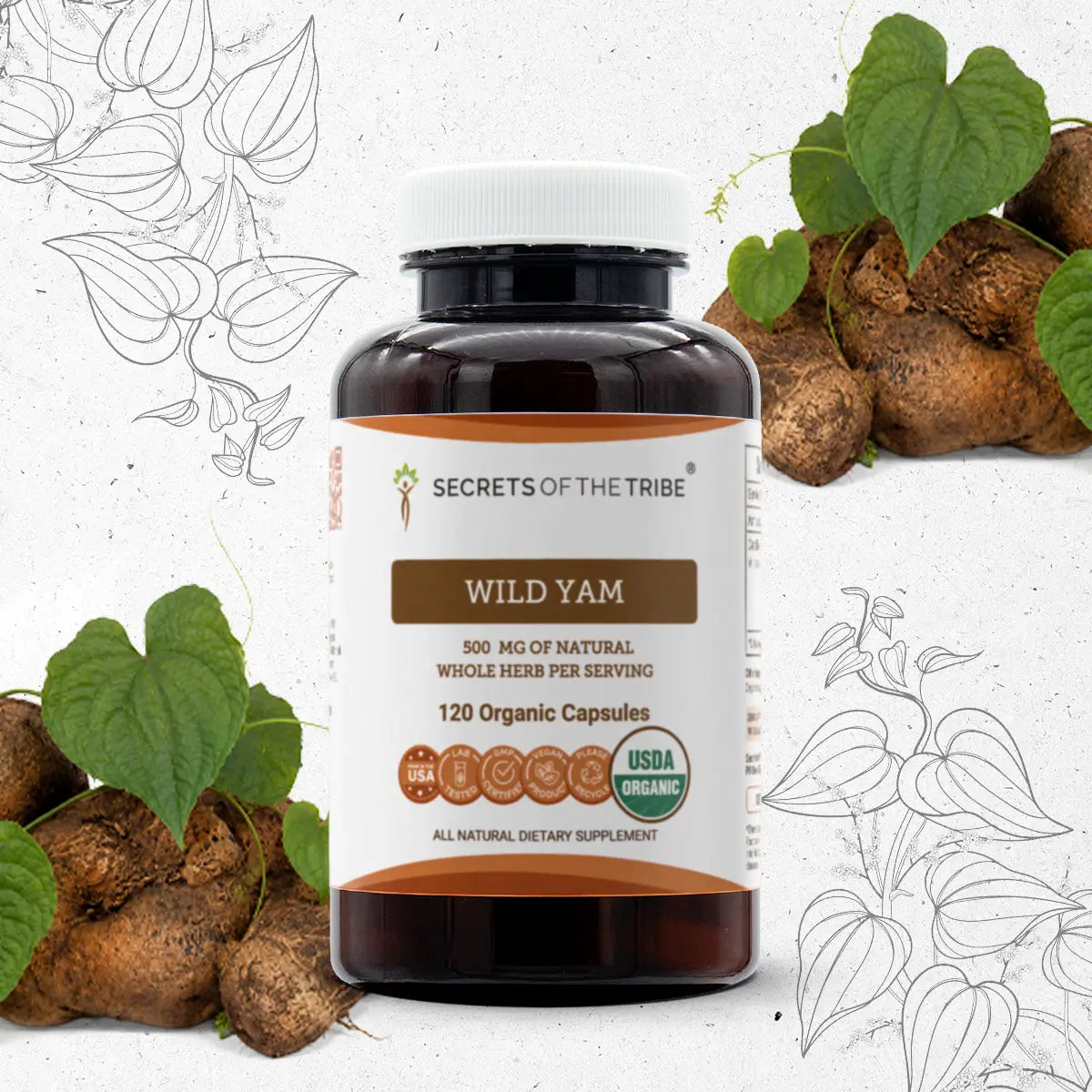 Secrets of the Tribe Wild Yam Capsules