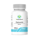 Curcumin - Source of Natural Antioxidant