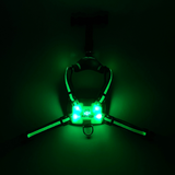 LED Dog Harness