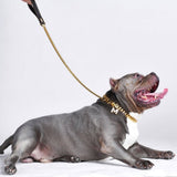 Cuban Link Gold Dog Leash: 35in/90cm length x 14mm width