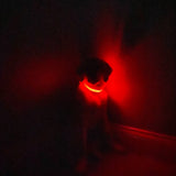 LED Dog Collar: Blue