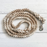 Taupe Leash: 5 Feet / Ombre / 1/4 Inch
