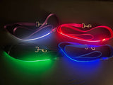 Light Up LED Dog Leash: Blue