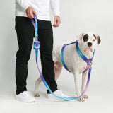 Comfort Control Dog Leash - 90s Retro: OS