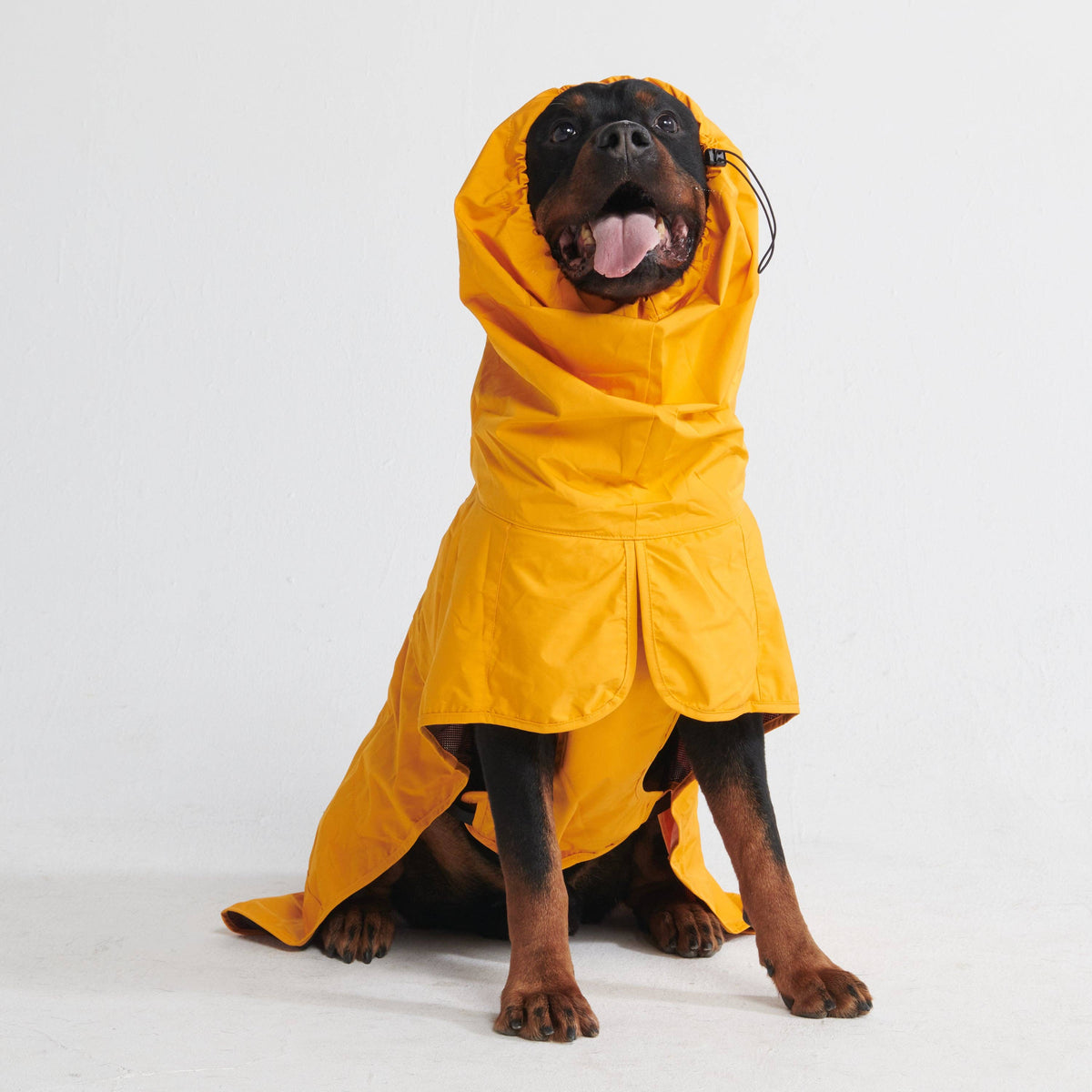 Lucky Dog Pet Company Breatheshield™ Dog Raincoat - Mustard Yellow