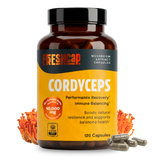 Organic Cordyceps Mushroom Supplement Capsules
