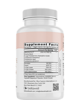 Digestive Enzymes: A Thoughtful Choice for Women's Wellness by Bellawell