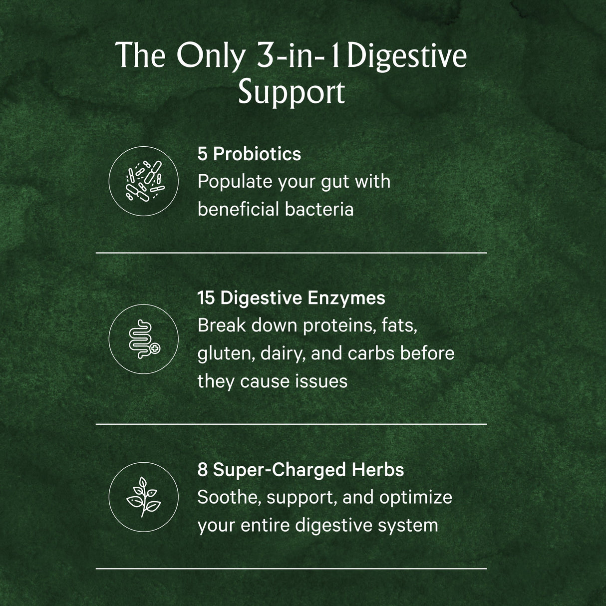 Digestive Enzymes