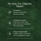 Digestive Enzymes