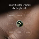 Digestive Enzymes