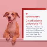 SensoVet Chlorhexidine 4% Max Strength Shampoo Medicated Shampoo for Dogs & Cats