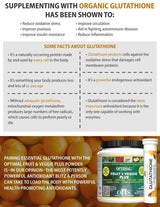 Optimal Health Systems - Essential Glutathione 20 Effervescent Wafers TheNatural Optimal Health Systems - Essential Glutathione 20 Effervescent Wafers TheNatural