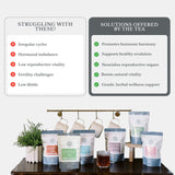 FertiliTea Hormone Balancing Tea