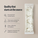 Organic Lion’s Mane Mushroom Powder