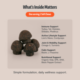 Organic Mushroom Complex for Dogs