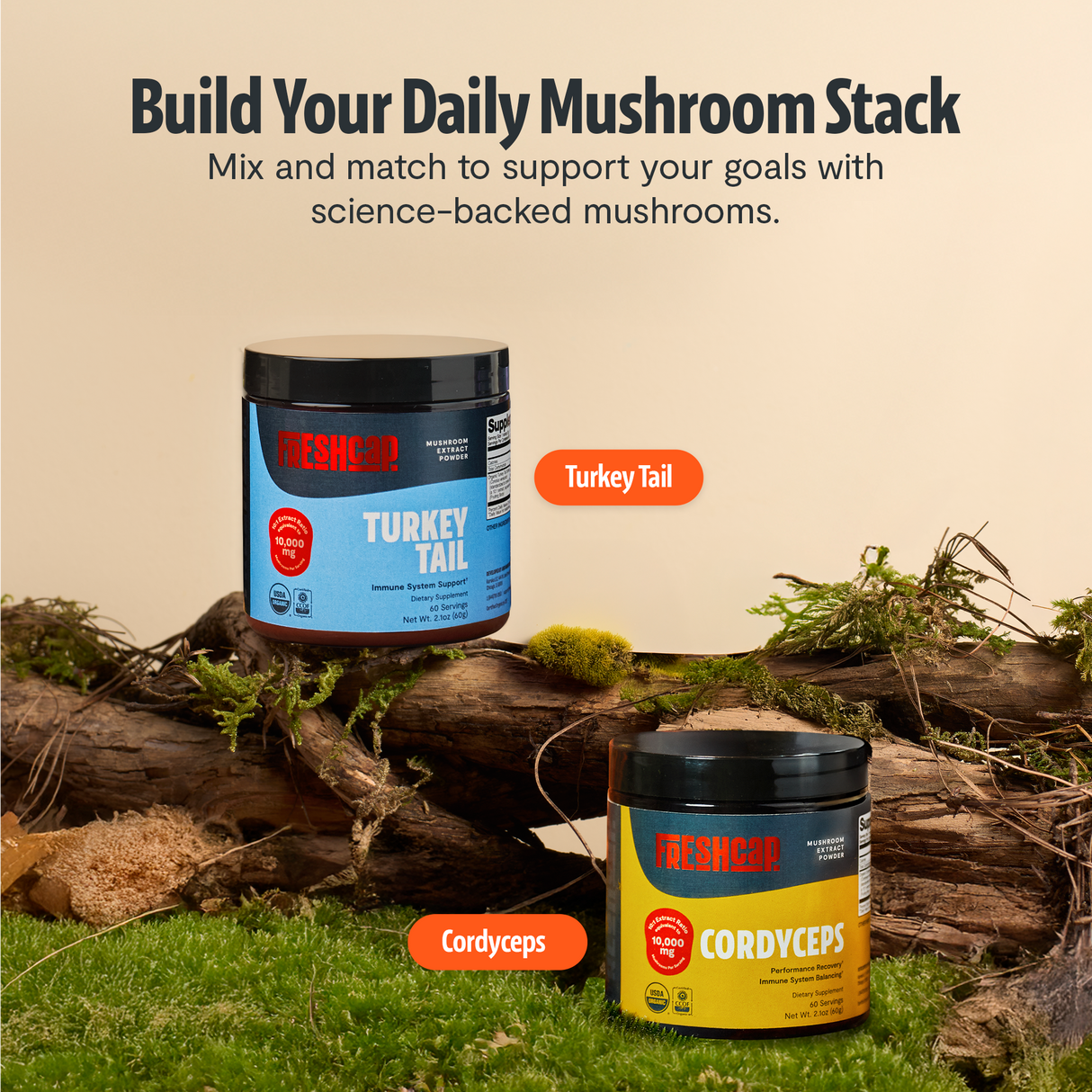 Organic Turkey Tail Mushroom Powder