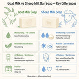 Sheep Milk Bar Soap Sample Pack