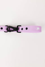 The Modern Dog Company - Blush Pink Leash