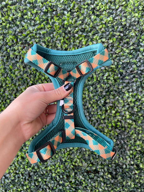 The Modern Dog Company The Modern Dog Company - Camping Harness