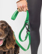 The Modern Dog Company The Modern Dog Company - Clover Green Leash