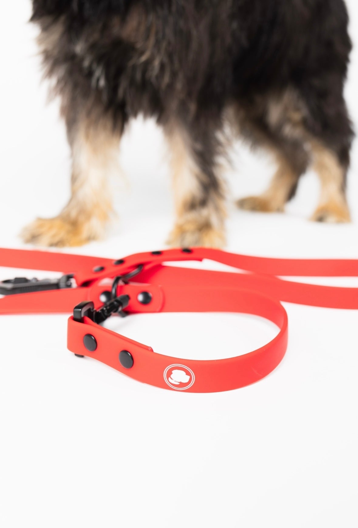 The Modern Dog Company - Ruby Red Adjustable Leash