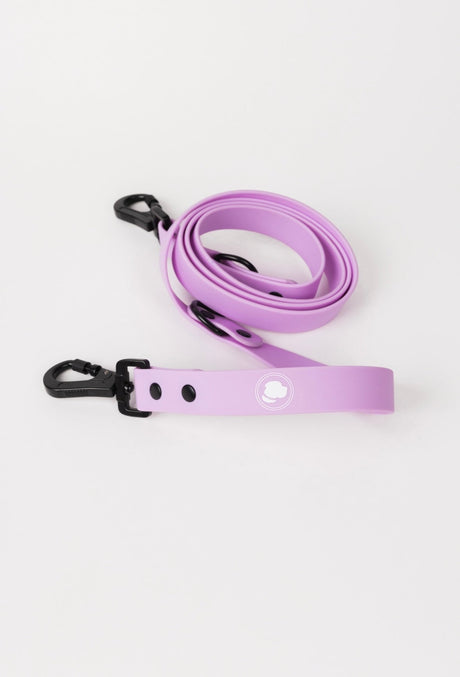 The Modern Dog Company The Modern Dog Company - Blush Pink Leash
