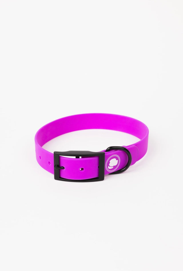 The Modern Dog Company The Modern Dog Company - Electric Fuchsia Collar (Weather + Odor Resistant)