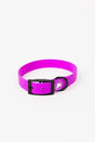 The Modern Dog Company The Modern Dog Company - Electric Fuchsia Collar (Weather + Odor Resistant)