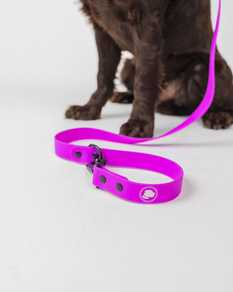 The Modern Dog Company The Modern Dog Company - Electric Fuchsia Leash (Weather + Odor Resistant)