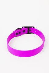 The Modern Dog Company The Modern Dog Company - Electric Fuchsia Collar (Weather + Odor Resistant)