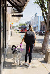 The Modern Dog Company The Modern Dog Company - Electric Fuchsia Collar (Weather + Odor Resistant)