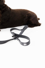 The Modern Dog Company The Modern Dog Company - Better in Black Leash