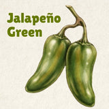 Pepper Song Jalapeño Green Hot Sauce