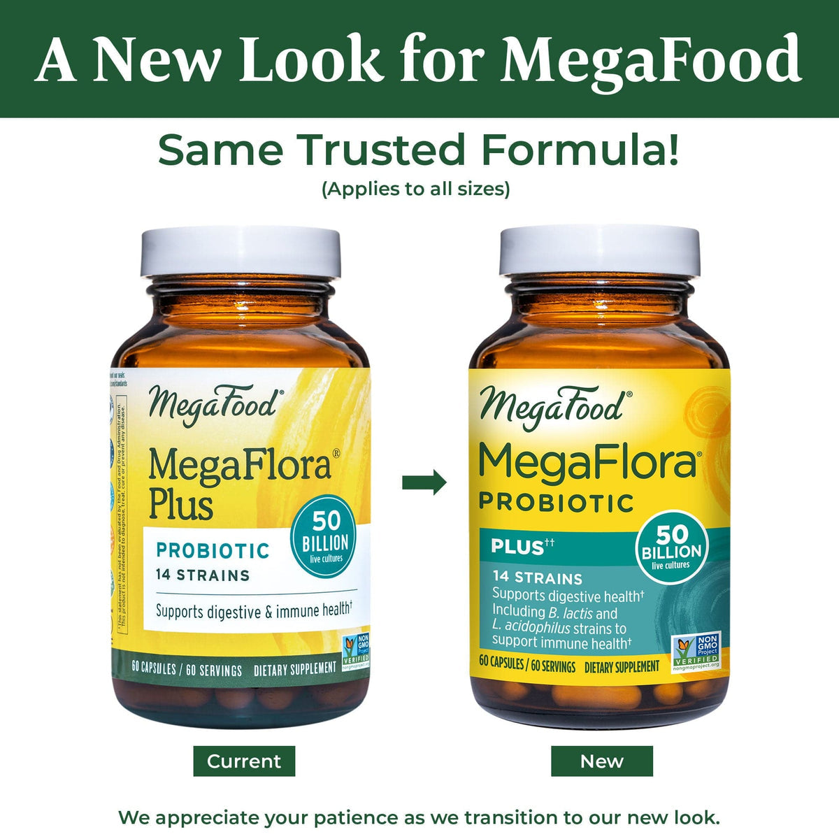 Megaflora Probiotic Plus