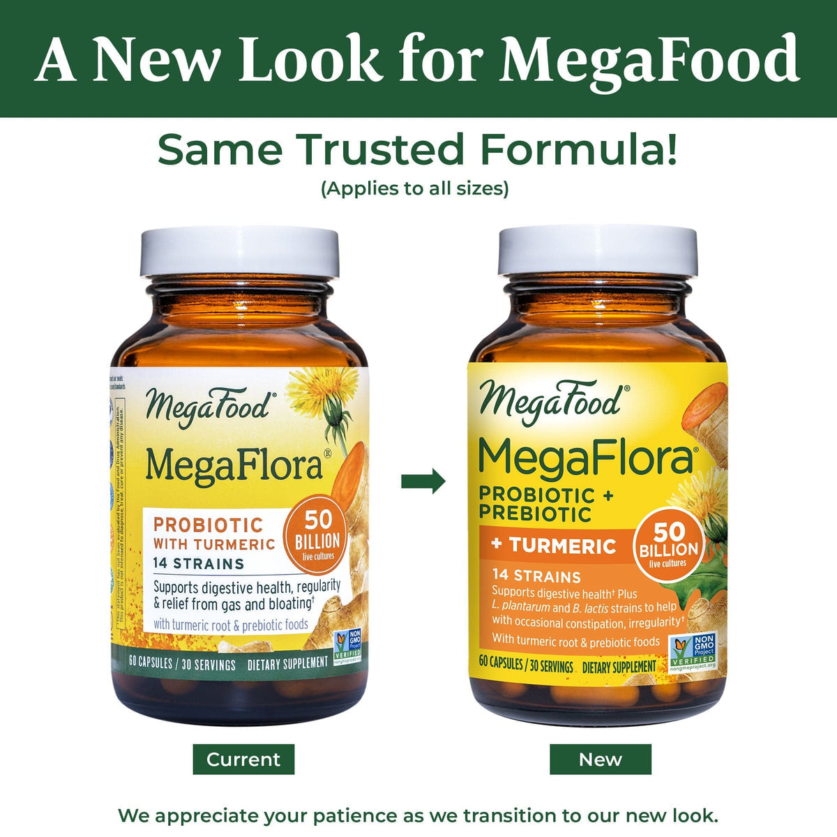 MegaFlora with Turmeric