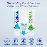 Mint Family Bundle