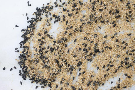 World Spice Nigella Caesar