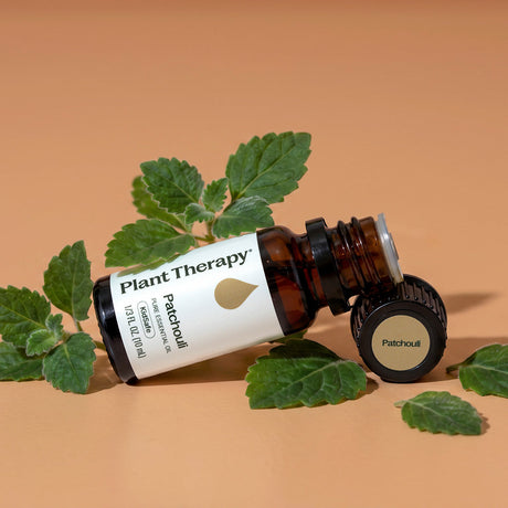 Patchouli Essential Oil
