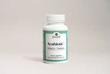 Synbiotic Plus - Halal Probiotics + Prebiotics 3.5 Billion CFU Veggie Capsules - 60 Count | Salaam Nutritionals