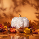 Pumpkin Passive Diffuser
