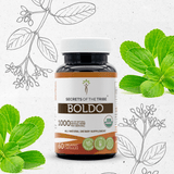 Secrets of the Tribe Boldo Capsules