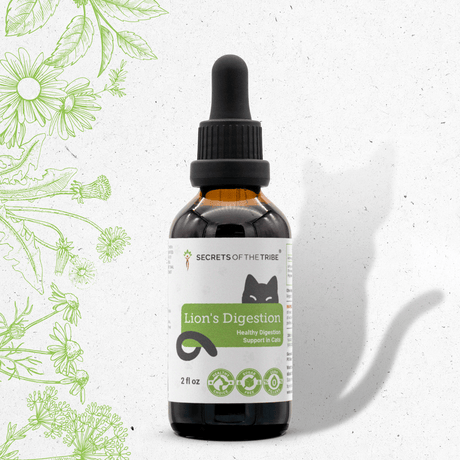 Secrets of the Tribe Lion's Digestion - Healthy Digestion Support in Cats
