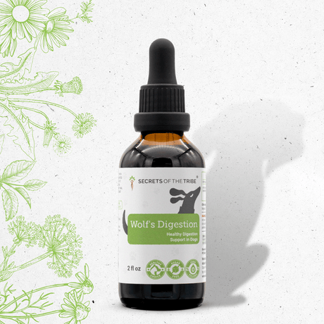Secrets of the Tribe Wolf's Digestion - Healthy Digestion Support in Dogs