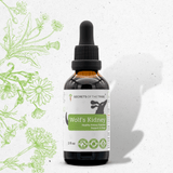 Wolf's Kidney - Healthy Kidney Function Support in Dogs