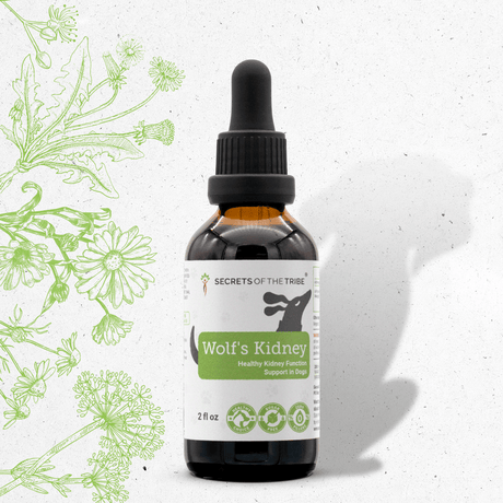 Secrets of the Tribe Wolf's Kidney - Healthy Kidney Function Support in Dogs
